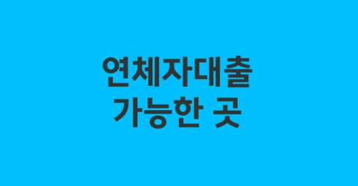 연체자대출 신청 시 대출 상환 계획서 작성법