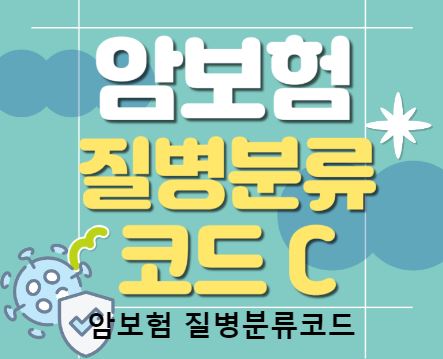 위즈인슈와 함께하는 보험비교사이트의 이점